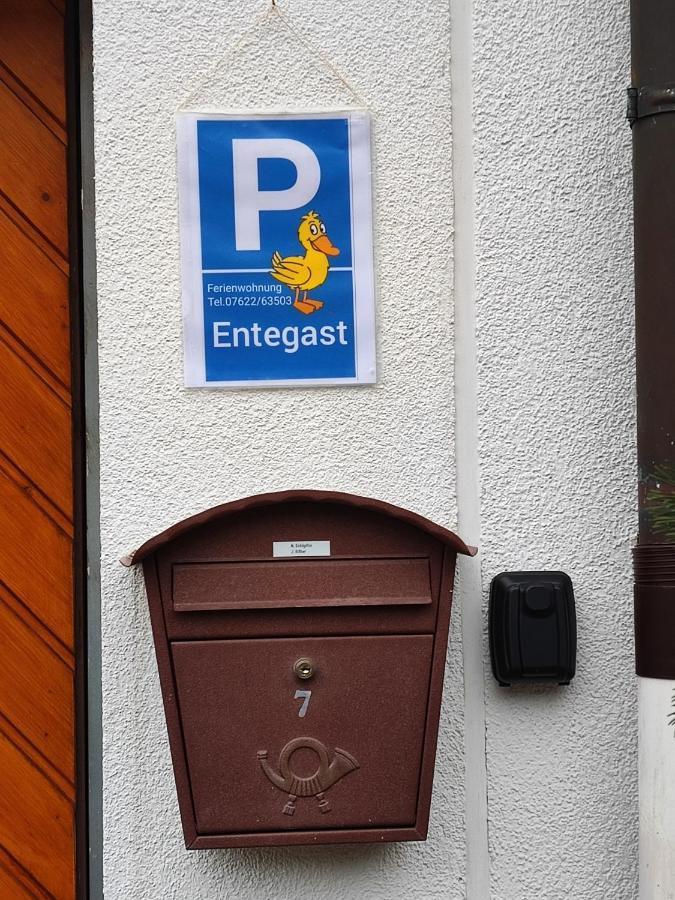 Apartment Entegast 쇼프하임 외부 사진